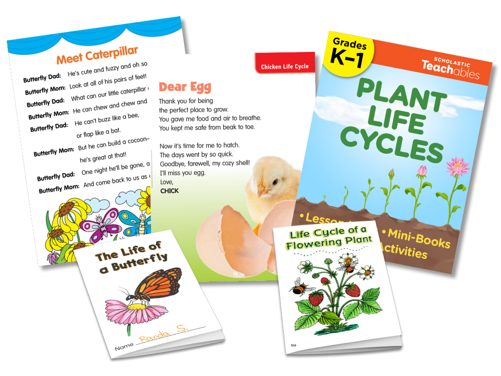 Image of resources about life cycles