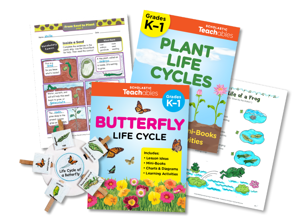 Image of printable activity packs, texts, and crafts about life cycles